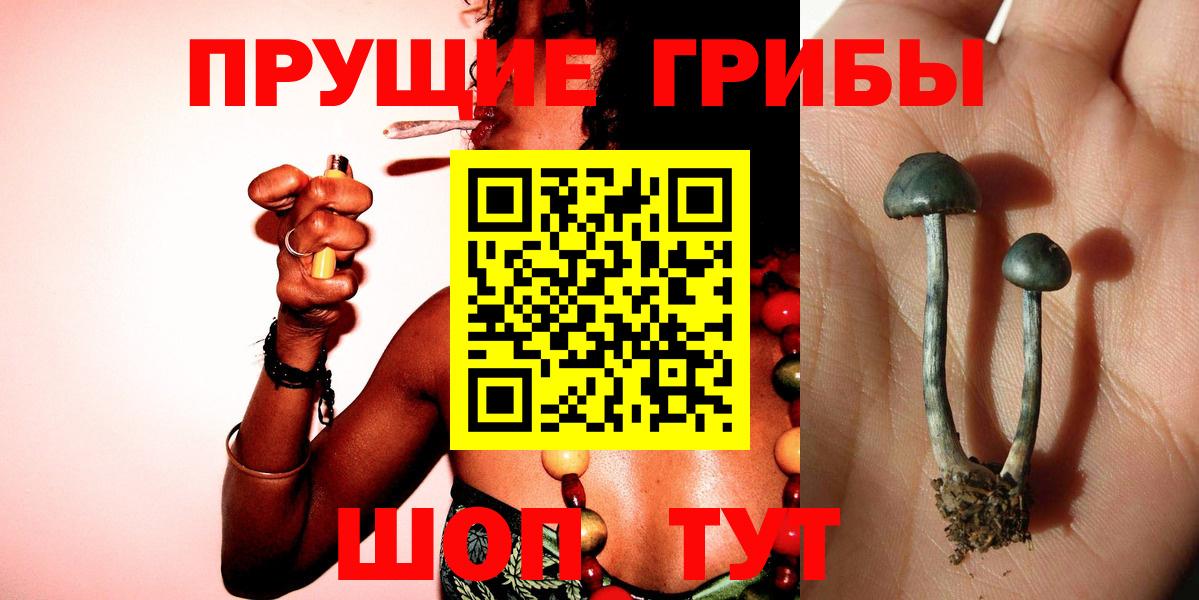 Псилоцибиновые грибы Magic Shrooms Зеленодольск